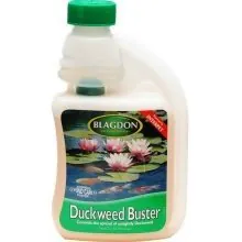 Duckweed Buster